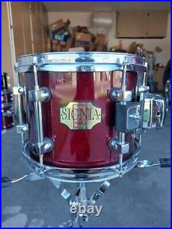 Beautiful 10 X 8 Premier Signia Maple Tom For Drum Set