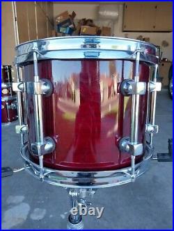 Beautiful 10 X 8 Premier Signia Maple Tom For Drum Set