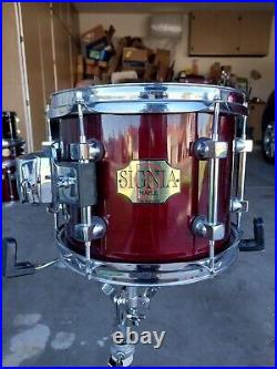 Beautiful 10 X 8 Premier Signia Maple Tom For Drum Set