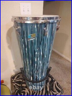 Blue oyster Ludwig congas