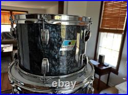 Ludwig Classic Maple Drums Ludwig Classic Maple Drums