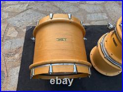 Peavey Radial 1000 Natural Finish 5pc Drum Set kit RSB-1