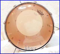 Premier Artist Series Maple Four-Piece Shell Pack & Artist Series Birch 10x8 Tom