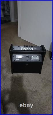 Roland PM-10 V-Drum Speaker System /Speaker Amp Amplifier