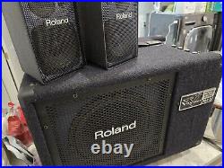 Roland PM-3 V-Drum Speaker System /Speaker Amp Amplifier Monitor